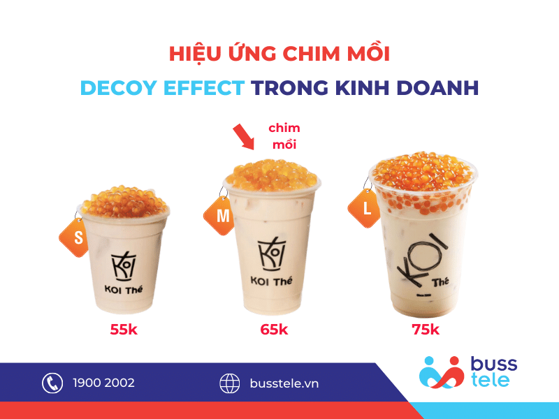 HIỆU ỨNG CHIM MỒI (DECOY EFFECT) TRONG KINH DOANH